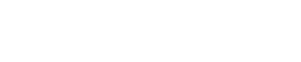 Shein logo